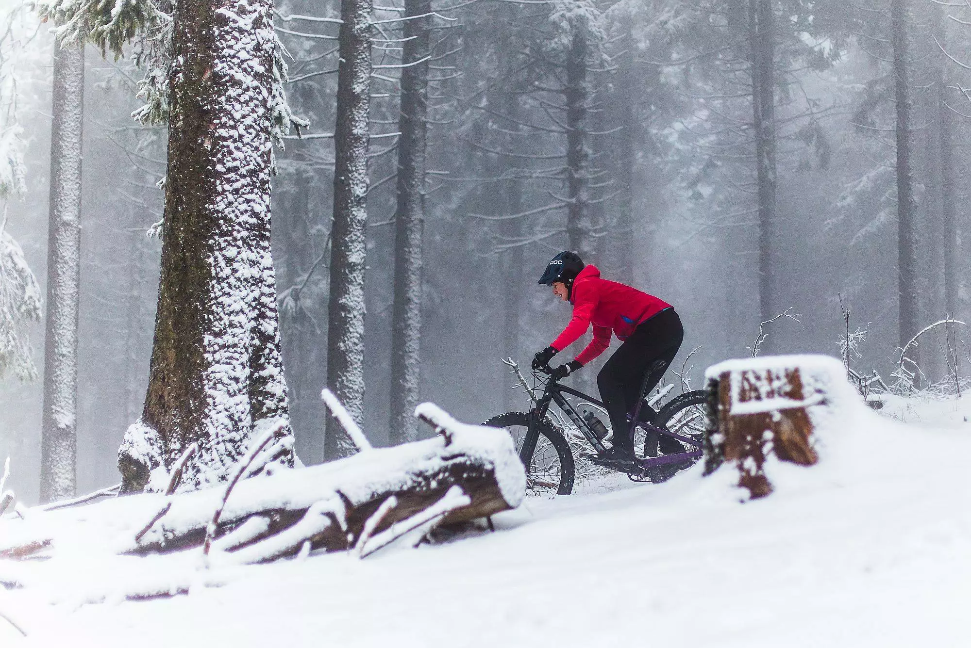 Bikes Sales Store -Bikes Sales Store 147681448 3973785612652442 1360235826666268607 n