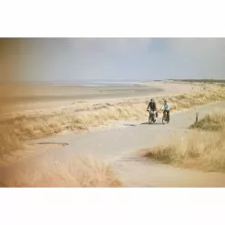 Ergon SC Core Prime Women's Saddle -Bikes Sales Store Ergon SC Core Prime Womens Saddle 07