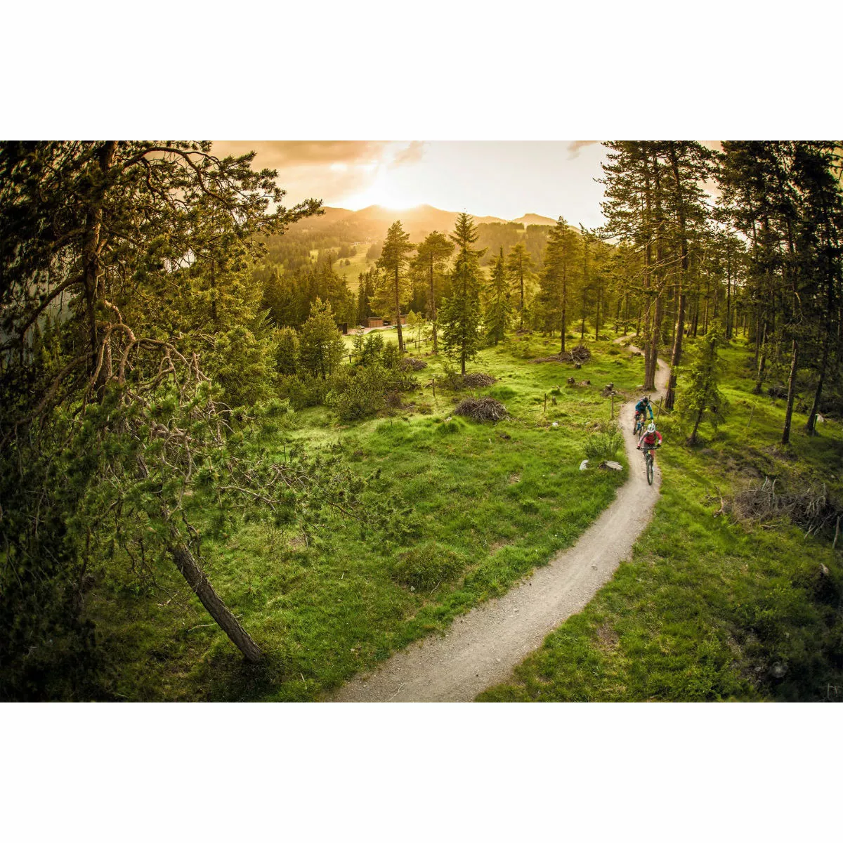 Ergon SMC Women's Saddle 7 Ergon SMC Women's Saddle - Image 7