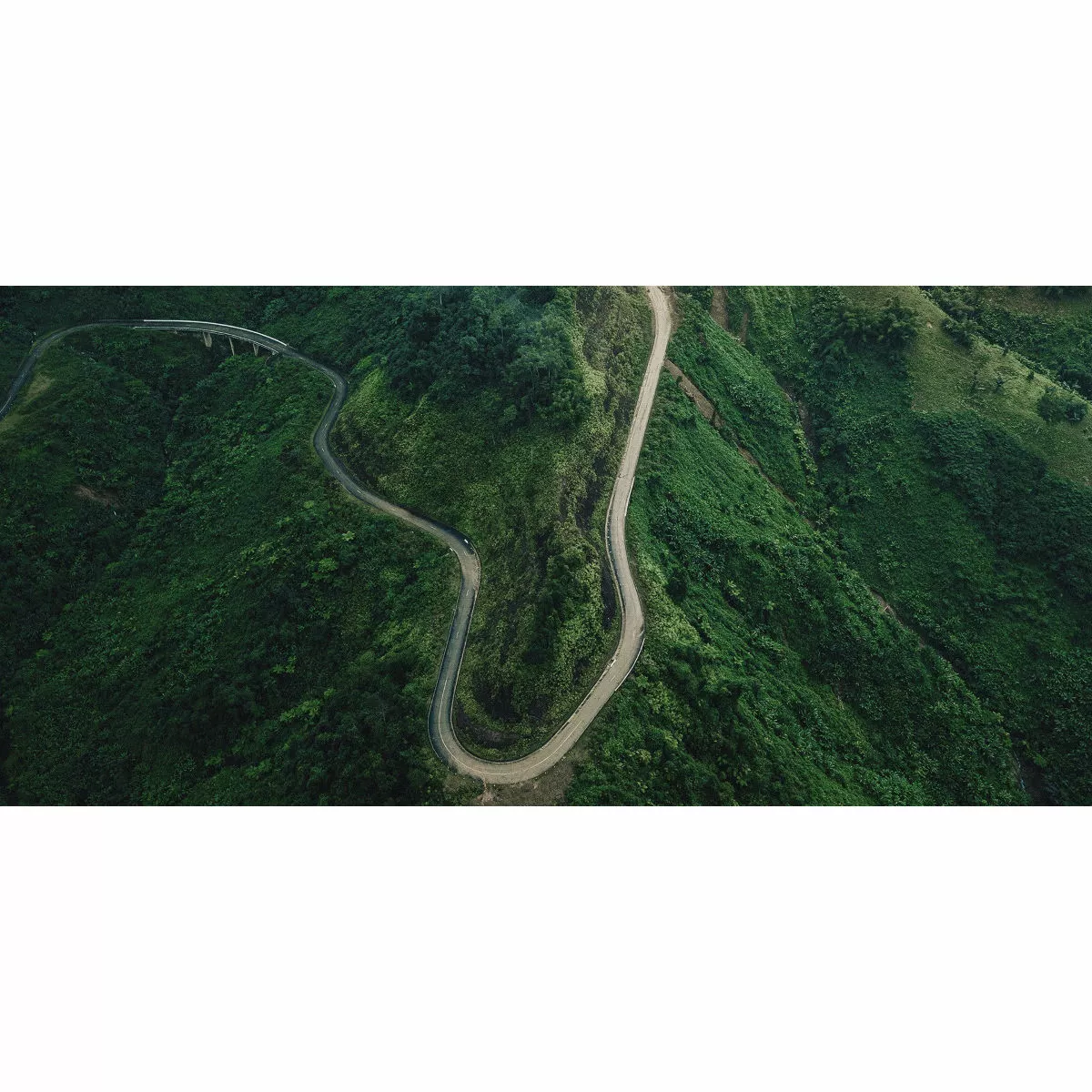 Selle Italia MODEL X Superflow L LEAF 4 Selle Italia MODEL X Superflow L LEAF - Image 4