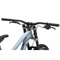 Vitus Dominer Downhill Mountain Bike -Bikes Sales Store Vitus Dominer Downhill Mountain Bike 2022 10